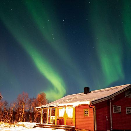 Trivelig Hytte I Senja. Kültér fotó