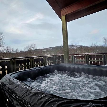 Trivelig Hytte I Senja. Kültér fotó