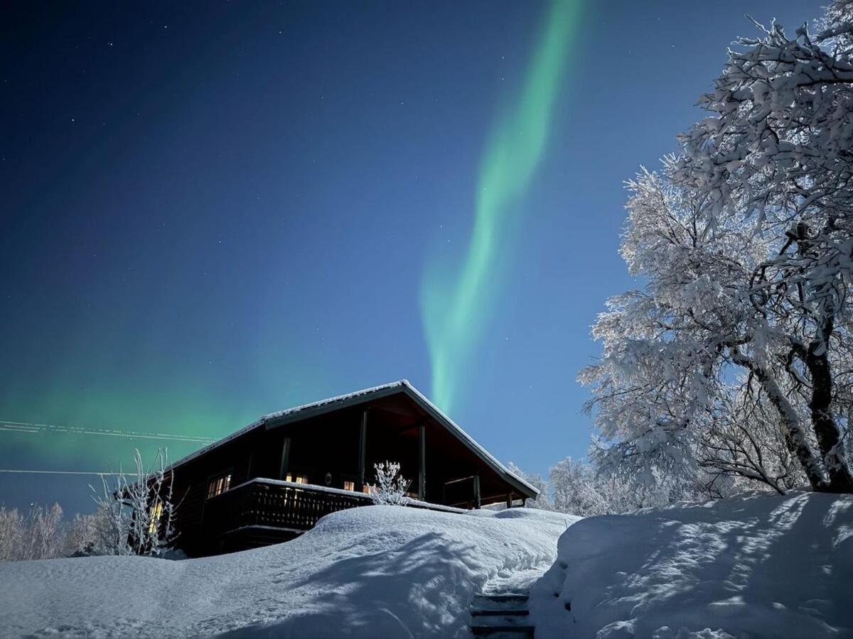 Trivelig Hytte I Senja. Kültér fotó