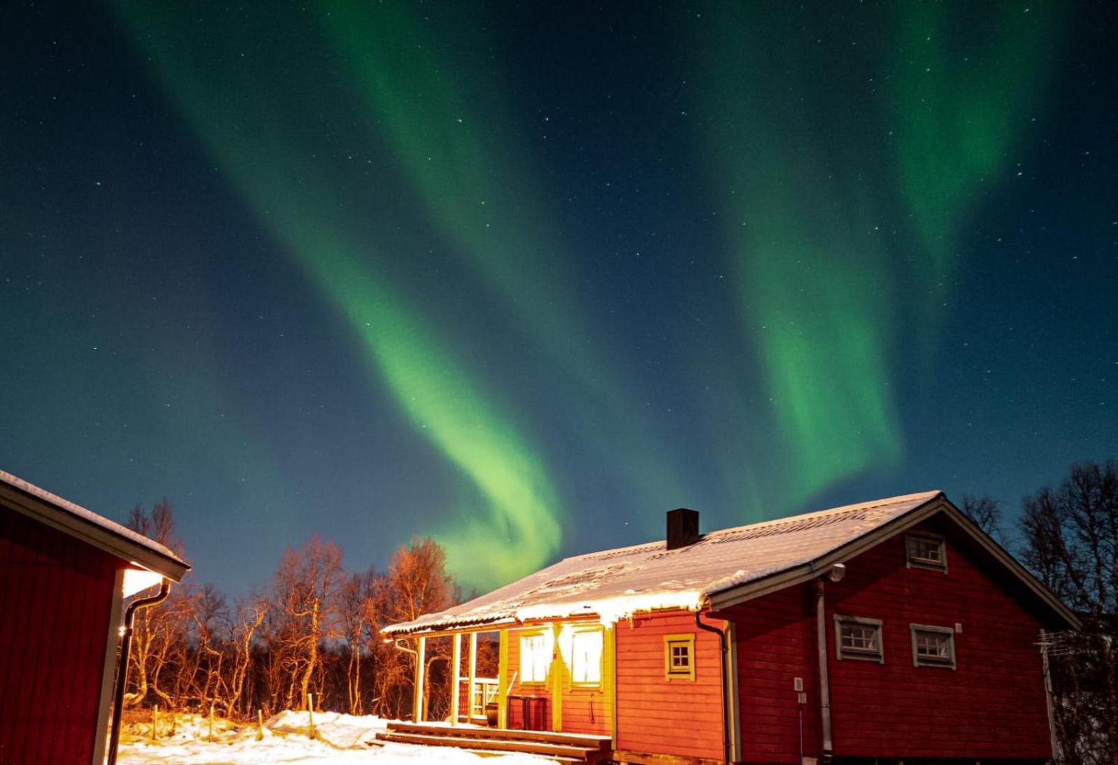 Trivelig Hytte I Senja. Kültér fotó