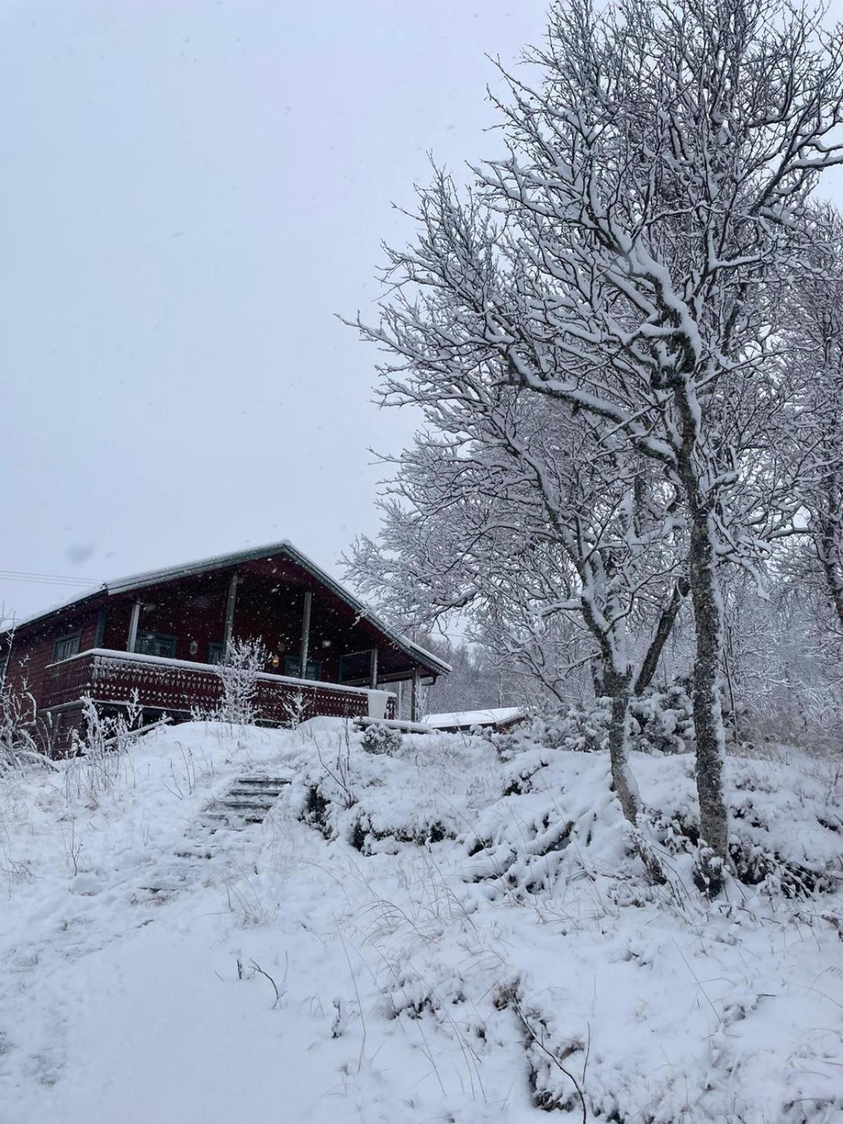 Trivelig Hytte I Senja. Kültér fotó